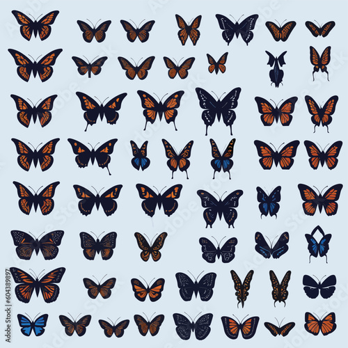 set of butterflies © Ayesha