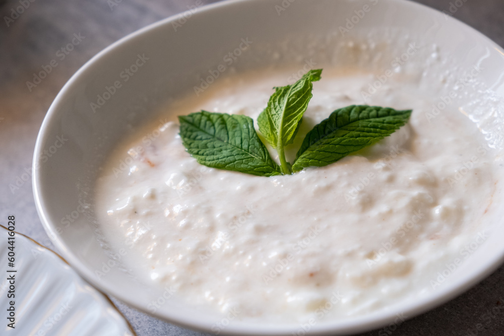 Fresh mint yogurt with garlic in white bowl in macro shot Fresh mint yogurt with garlic in white bowl in macro shot