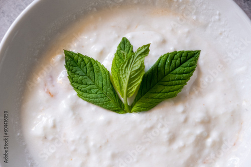 Fresh mint yogurt with garlic in white bowl in macro shot