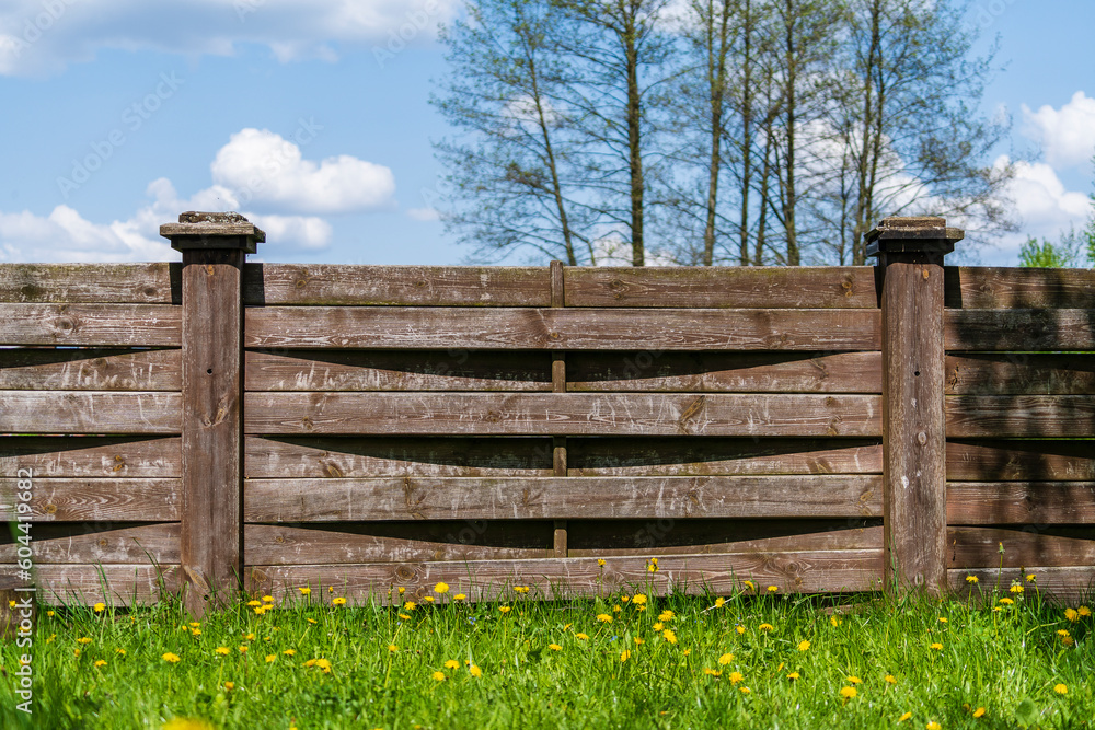 Wooden garden fence, green grass and blooming dandelion flowers on a spring day Wooden garden fence, green grass and blooming dandelion flowers on a spring day