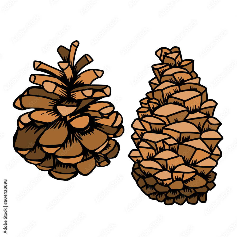 Christmas pine cone branch spruce and fir evergreen vector icon winter tree green plant%09 Christmas pine cone branch spruce and fir evergreen vector icon winter tree green plant%09