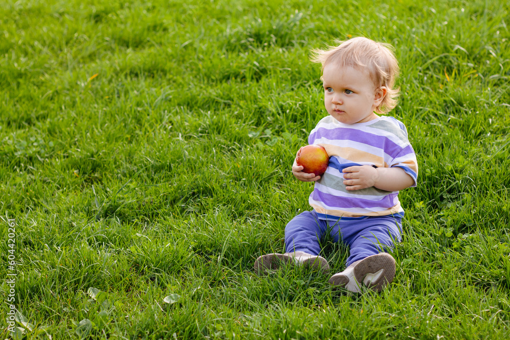 Cute little toddler boy eating ripe red apple outdoor Cute little toddler boy eating ripe red apple outdoor