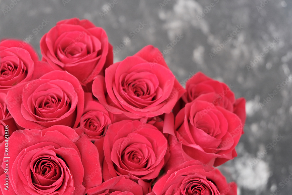 Naklejka premium Red beautiful roses, bouquet. Congratulation, love concept. Floral background.