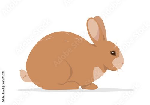 Domestic or wild rabbit or hare isolated on white background. Farm animal or pet icon. Vector illustration.