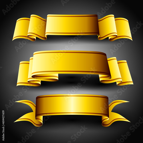 Yogendra_Golden_13_June_2012_4