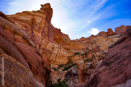 Canyon Runoff