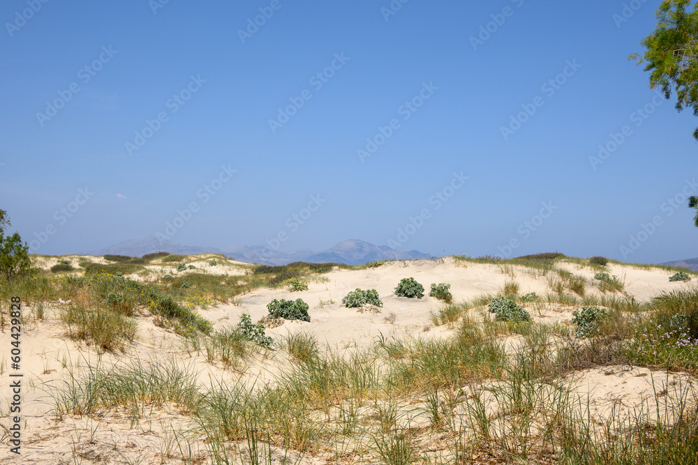 Sand dunes at Marmari beach on the Greek island of Kos