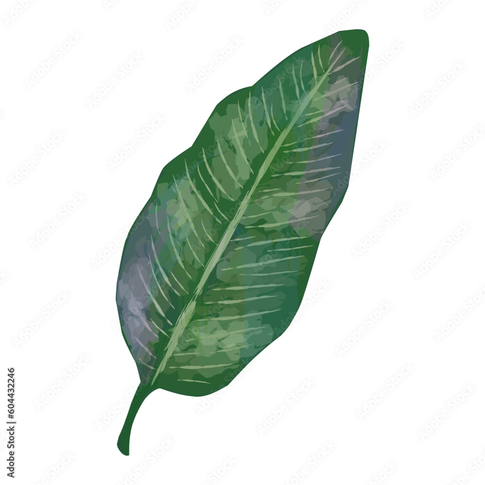 Fototapeta premium leaf, element for design. Flat vector design 
