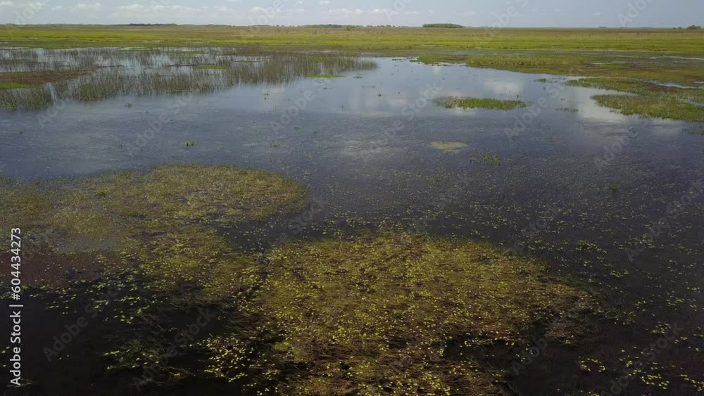 Wetlands of northeast Argentina shooted with drone
Wetlands of northeast Argentina shooted with drone