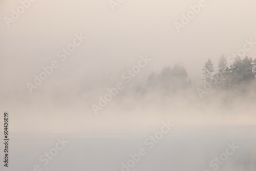Lake, fog, quietness, morning