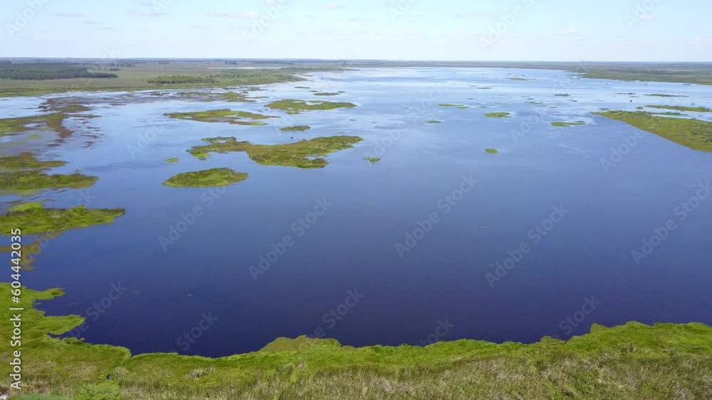 Wetlands of northeast Argentina shooted with drone Wetlands of northeast Argentina shooted with drone