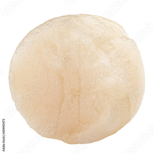 scallop isolated on white background  full depth of field