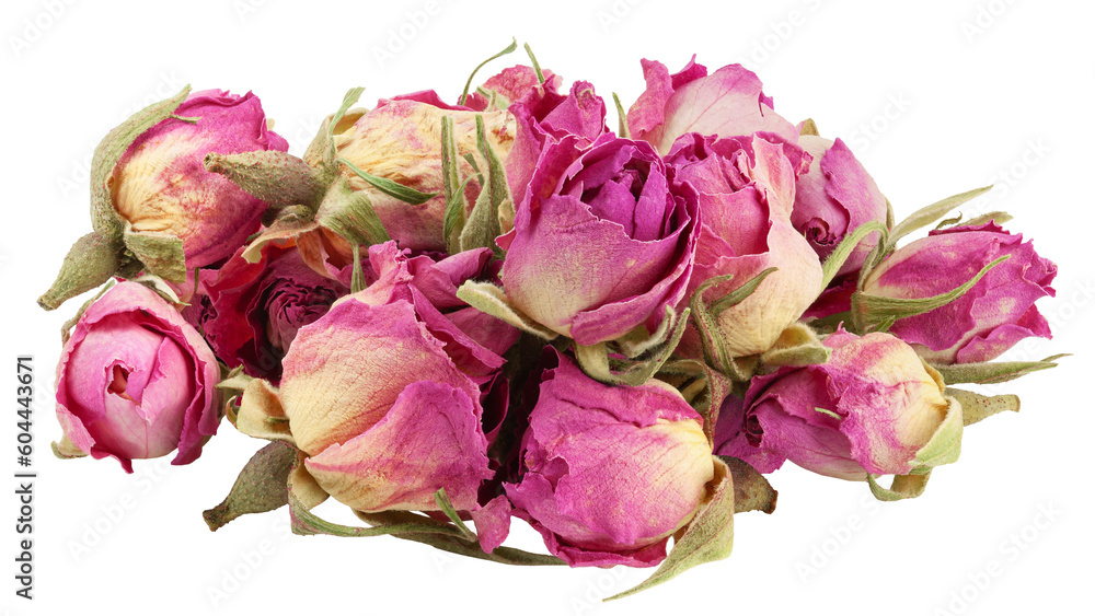 Rose isolated on white background, full depth of field Rose isolated on white background, full depth of field