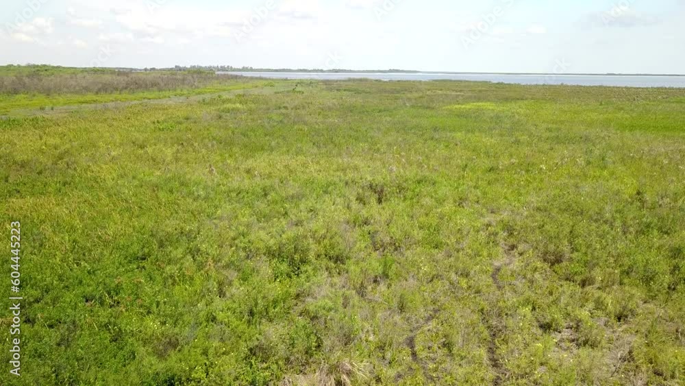 Wetlands of northeast Argentina shooted with drone Wetlands of northeast Argentina shooted with drone