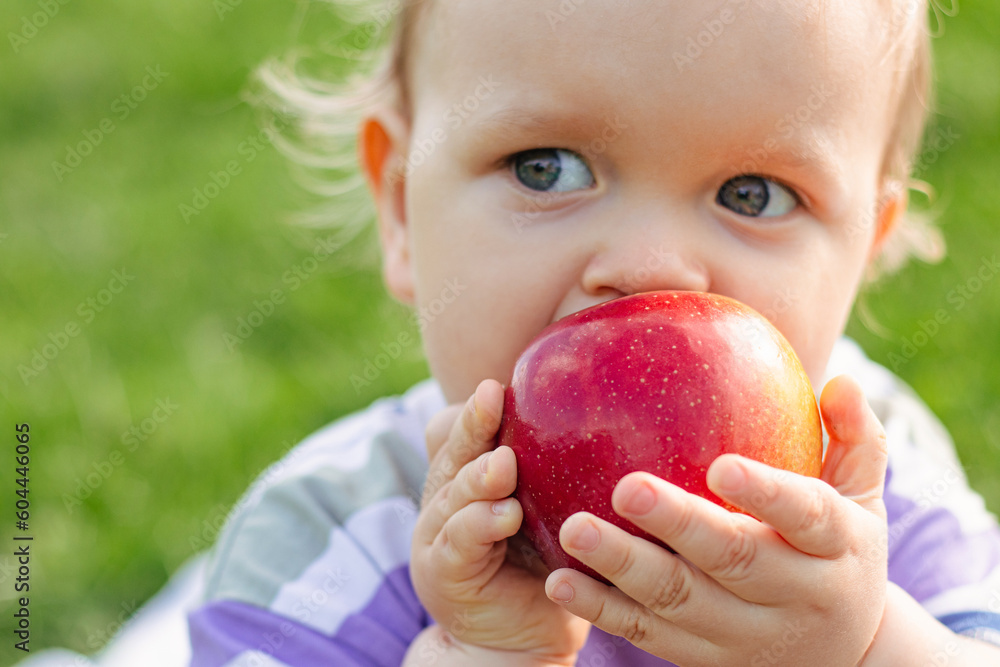 Cute little toddler boy eating ripe red apple outdoor Cute little toddler boy eating ripe red apple outdoor