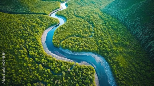 Unique aerial view of a winding river cutting through a vibrant green forest, save the planet concept. World Enviroment Day. Generative ai photo