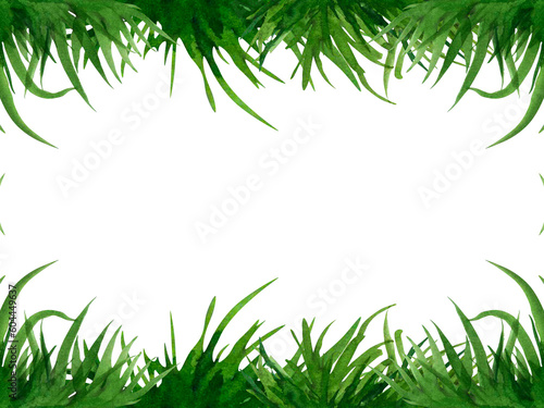 Watercolor hand drawn illustration banner fresh green grass isolated on a white background. Summer grassy element for design, nature landscape. Spring herb. Organic, bio, eco label and shape