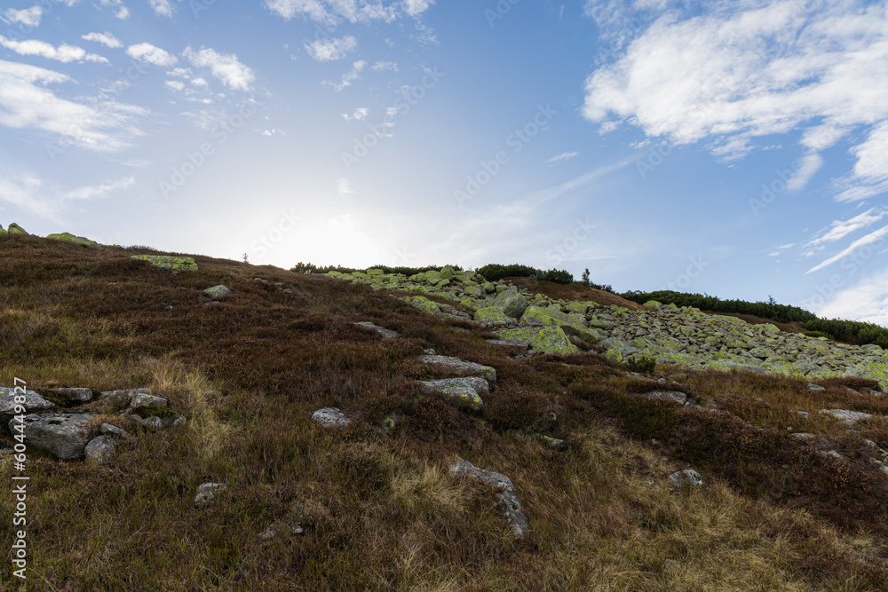 Beautiful landscape of hills and mountains full of green bushes, yellow grass and big rocks at sunny autumn day