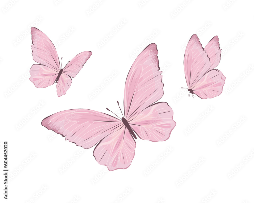 Obraz premium pink butterfly isolated on white