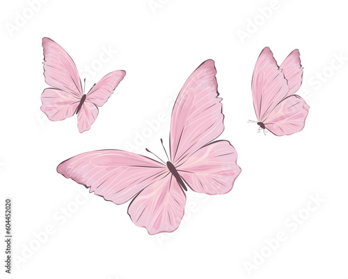 pink butterfly isolated on white © gltekin