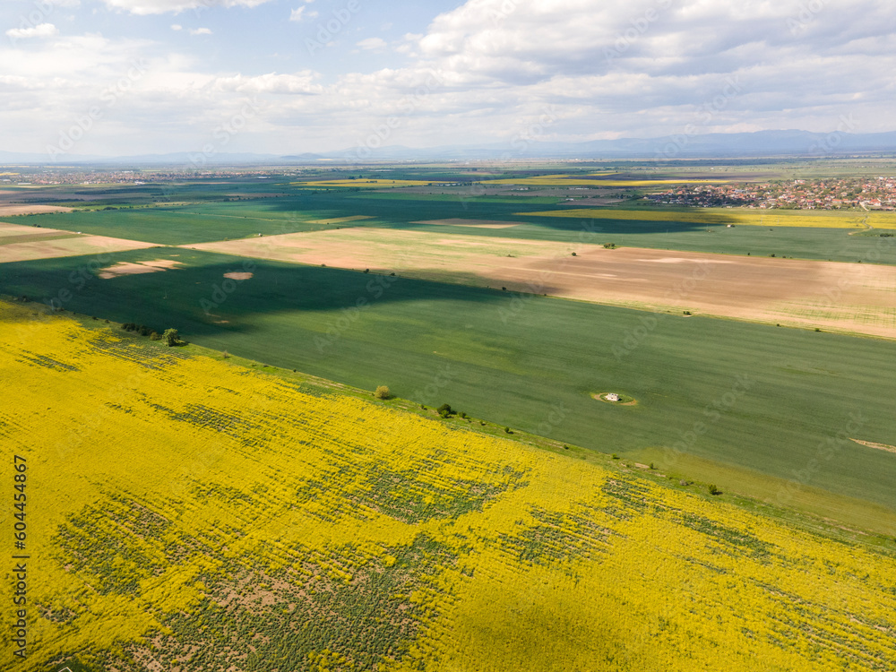 Obraz premium Aerial view of Blooming rapeseed field, Bulgaria