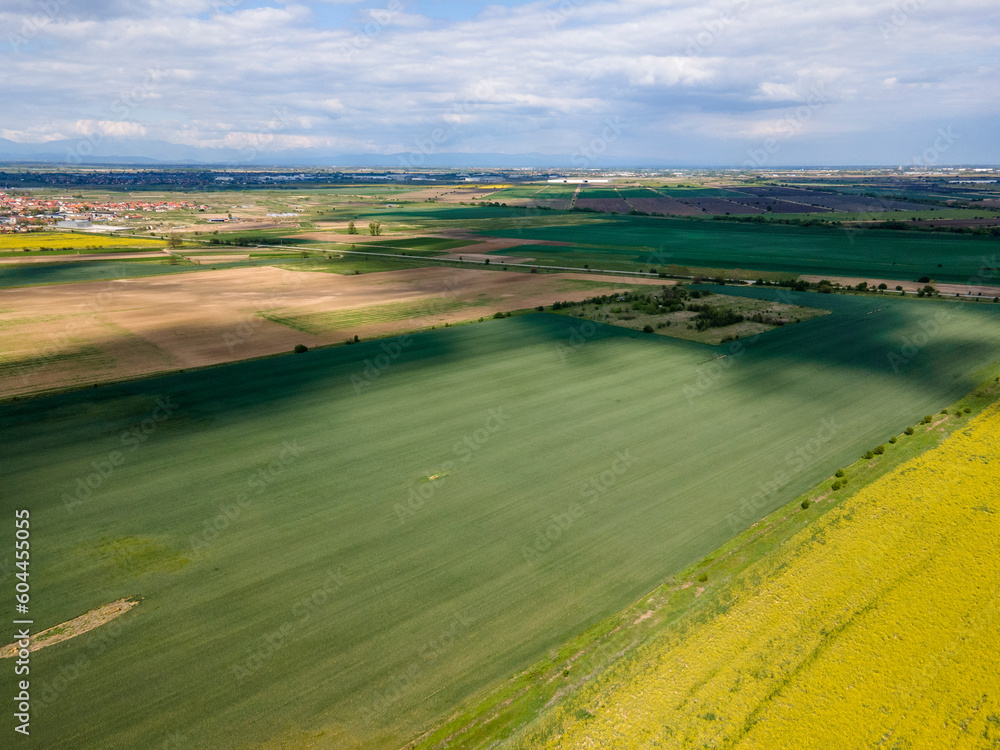 Aerial view of Blooming rapeseed field, Bulgaria Aerial view of Blooming rapeseed field, Bulgaria