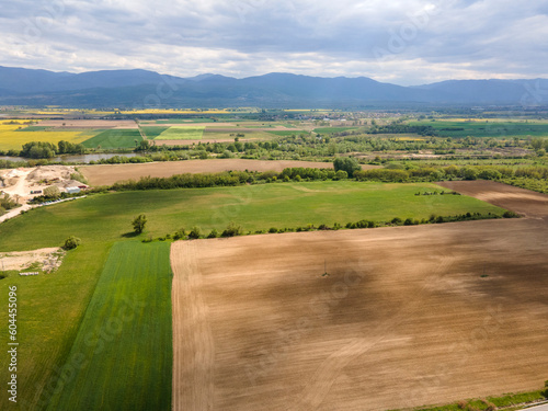Wallpaper Mural Aerial view of Blooming rapeseed field, Bulgaria Torontodigital.ca