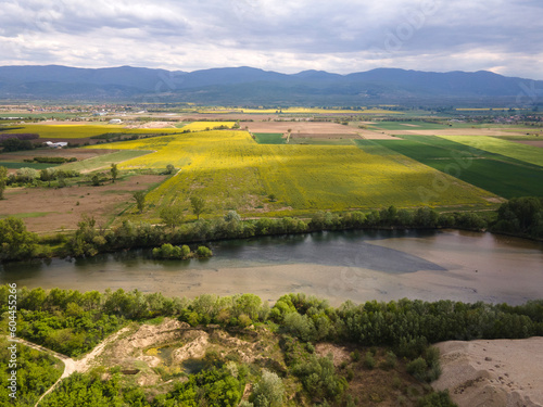 Aerial view of Blooming rapeseed field, Bulgaria © Stoyan Haytov