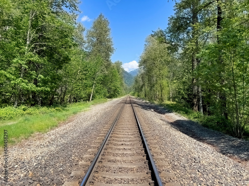 Train tracks going through woods and mountains