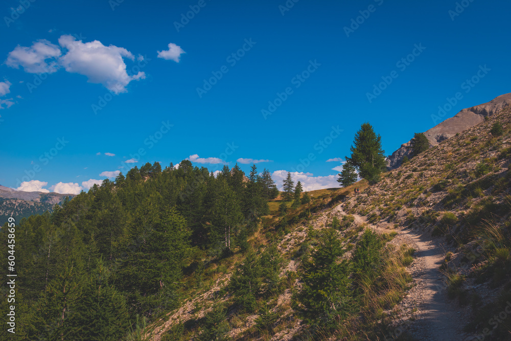 Obraz premium A picturesque landscape of the French Alps mountains on a hike from Chalets de Clapeyto to Col du Cros