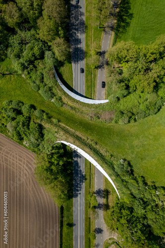 Vertical frame of provincial road and wildlife crossing forming a safe natural corridor bridge for animals to migrate between conservancy areas. Environment nature reserve infrastructure eco passage.