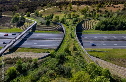 Wildlife crossing forming a safe natural corridor bridge for animals to migrate between conservancy areas. Environment nature reserve infrastructure engineering eco passage.