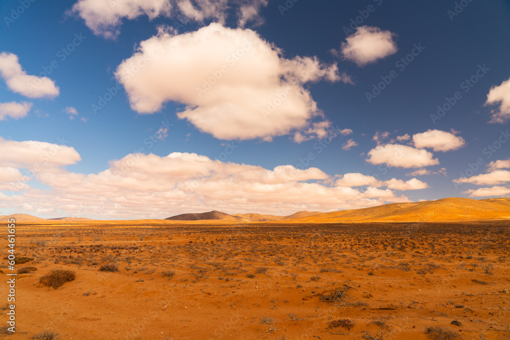 Fototapeta premium Wide arid African landscape with blue sky, clouds and yellow red dry soil.