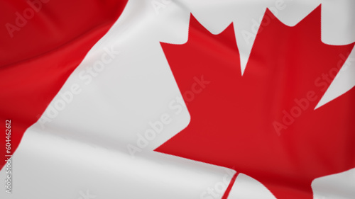 The Canada flag image 3d rendering