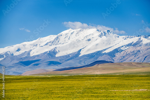 Snow mountains and meadow in Ngari Prefecture, Tibet Autonomous Region, China.