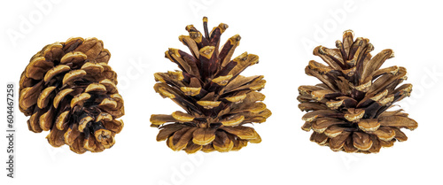 cones on a transparent isolated background. png