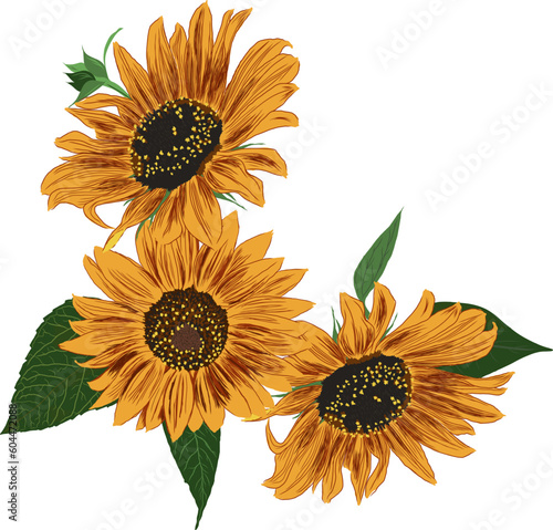 Frame of Sunflowers and Leaves. Bright Colorful artistic Border with Flowers. Hand Drawing Floral Illustration. Element for different social media design. Vector Illustration Isolated on White.