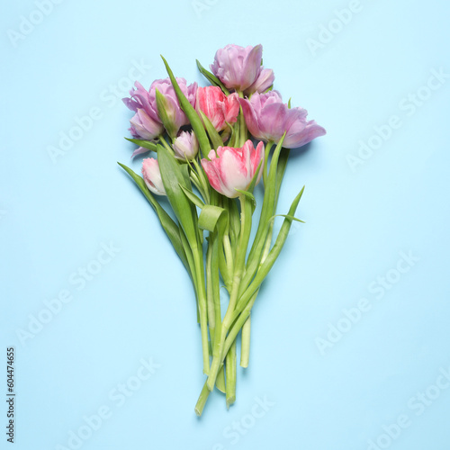 Beautiful colorful tulip flowers on light blue background, top view © New Africa
