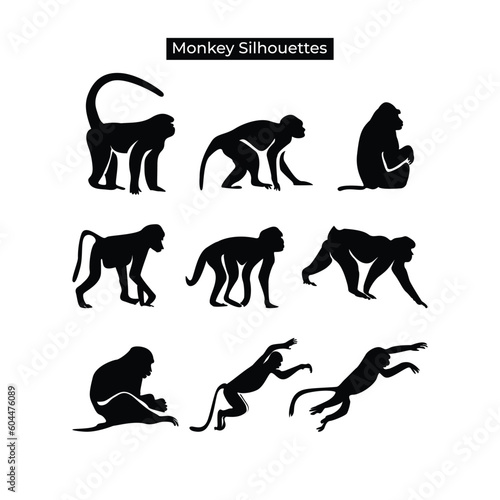 Monkey animal silhouette collection vector