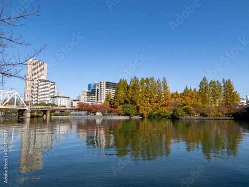 大阪の街を彩る秋の紅葉
