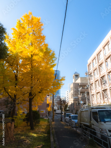 大阪の街を彩る秋の紅葉 