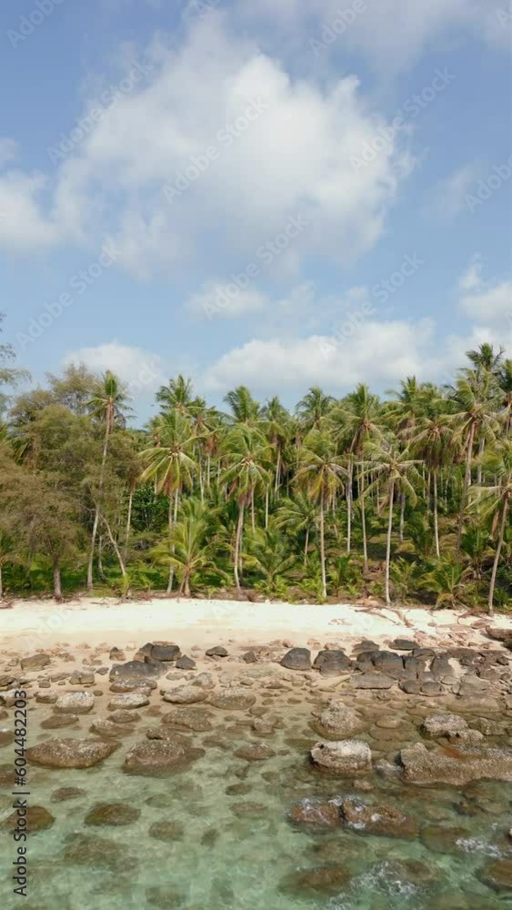 A white empty beach, crystal clear turquoise water, coconut palm trees, and blue sky on a beautiful paradise island. A white empty beach, crystal clear turquoise water, coconut palm trees, and blue sky on a beautiful paradise island.