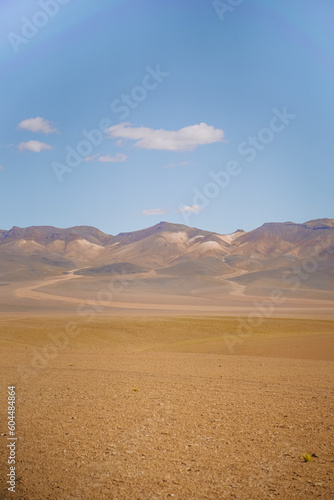 landscape in the desert (ID: 604484864)