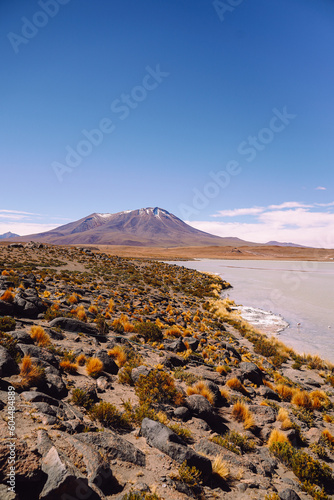 landscape of lake and volcano in dry desert (ID: 604484889)