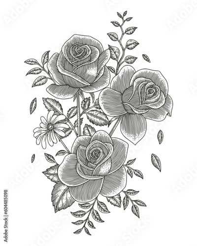 roses hand drawing vintage engraving style