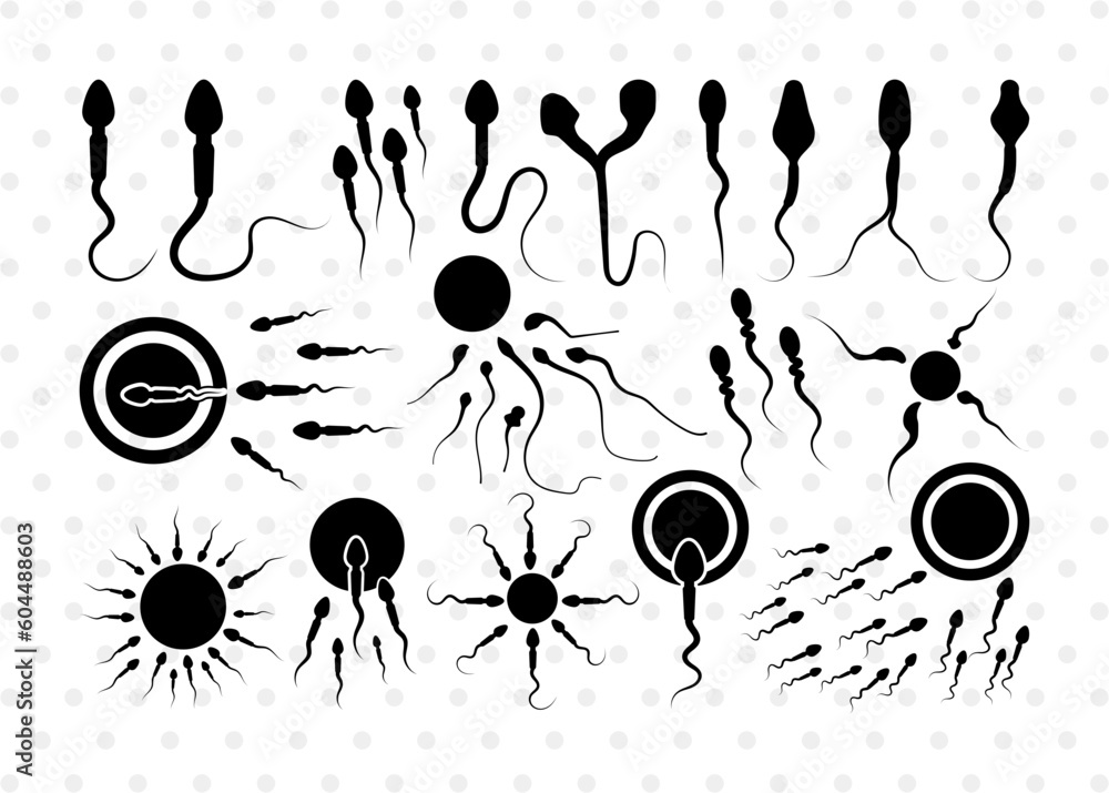 Sperm Svg Sperm Silhouette Male Anatomy Svg Semen Svg Cum Svg Sex
