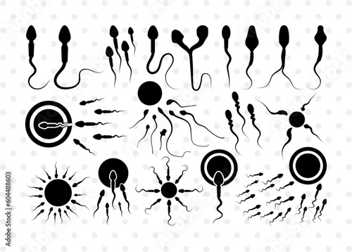 Sperm SVG, Sperm Silhouette, Male Anatomy Svg, Semen Svg, Cum Svg, Sex Funtion Svg, Human sperm cell Svg, Sperm Bundle, photo