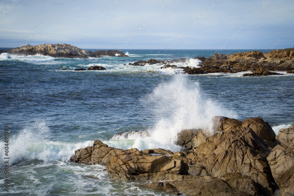 California ocean waves crashing in to beautiful golden rocks. Carmel by the Sea. Vacation nature travel photography. Water spray from ocean waves.