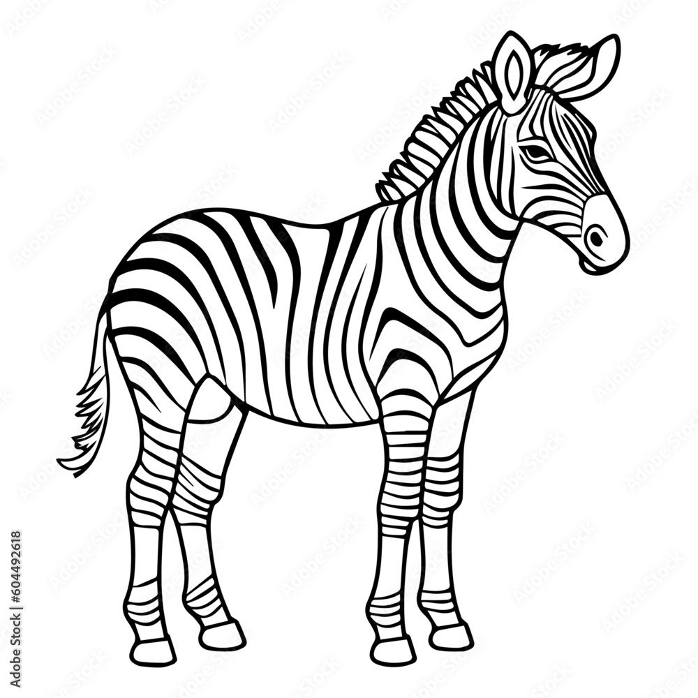 Fototapeta premium zebra, cartoon, vector, for coloring