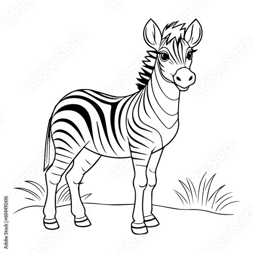 zebra  cartoon  vector  for coloring